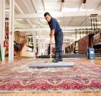 Eco Green Carpet Cleaning Mangonia Park image 4